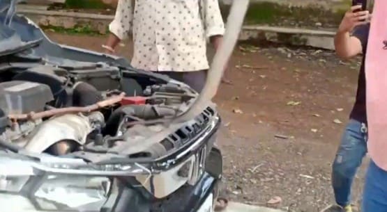 कार के बोनट में घुस गया ब्लैक कोबरा, इंजन से जा लिपटा