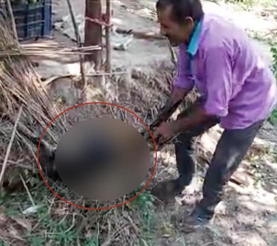 बंदर के साथ हुई बर्बरता, पहले पीटा फिर डाला काला रंग, 6 गिरफ्तार