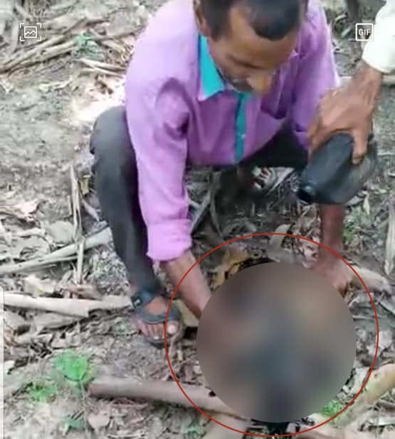 बंदर के साथ हुई बर्बरता, पहले पीटा फिर डाला काला रंग, 6 गिरफ्तार