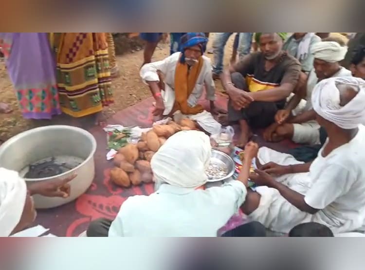 सावन में द‍िखे सांप के 100 बच्चे, पतीले में रख लोग करने लगे पूजा