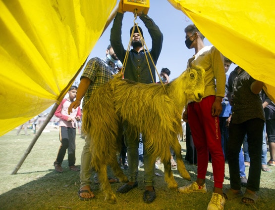 बकरीद पर कुर्बानी और ईदगाह पर नमाज क्यों है जरूरी? जानें पूरी कहानी