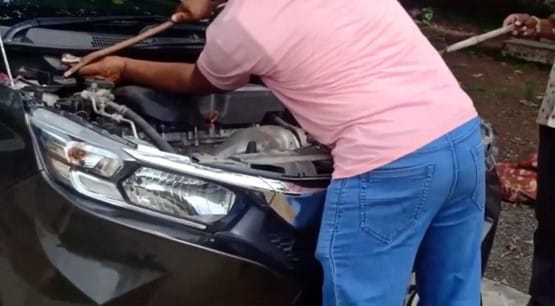 कार के बोनट में घुस गया ब्लैक कोबरा, इंजन से जा लिपटा