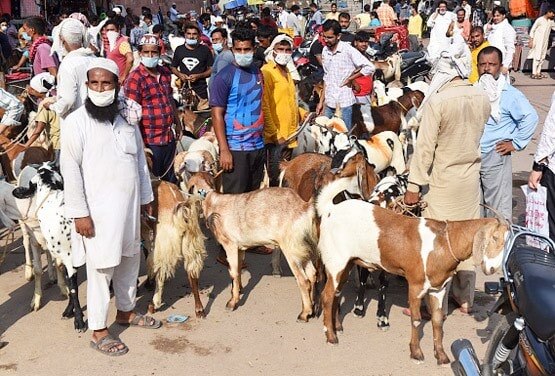 बकरीद पर कुर्बानी और ईदगाह पर नमाज क्यों है जरूरी? जानें पूरी कहानी