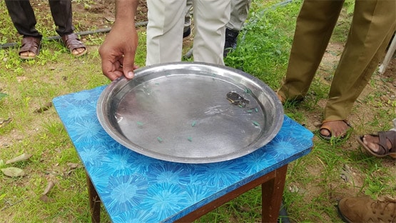 कारोबारी को म‍िला 16 नाखूनों वाला कछुआ, माना जाता है बेहद शुभ