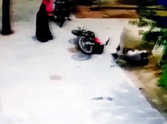 सांड ने बाइक सवार को मारी टक्कर, पैरों से रौंदा, बाल-बाल बची जान