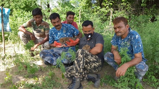 बकरी का दूध पीकर बड़े हो रहे तेंदुए के बच्चे, मां ने किया खुद से दूर