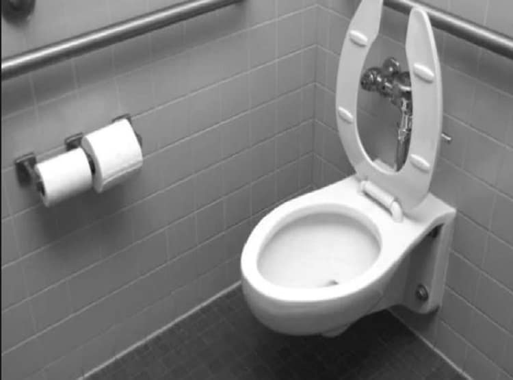 टॉयलेट सीट बंद रखने से कोरोना खतरा कम, मल में जिंदा रहता है वायरस