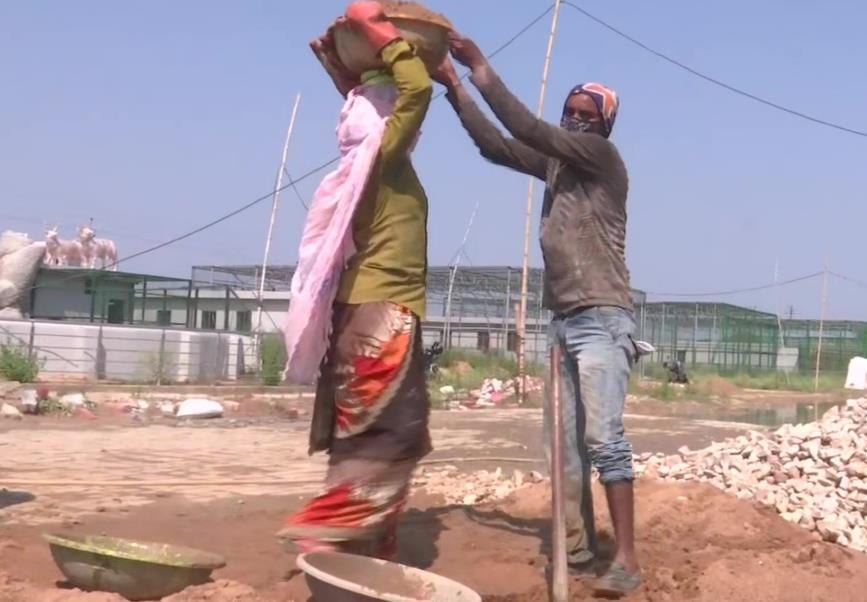 मुफ्त अनाज बांटने में बिहार-UP फिसड्डी, नवंबर तक PM के ऐलान का क्या?