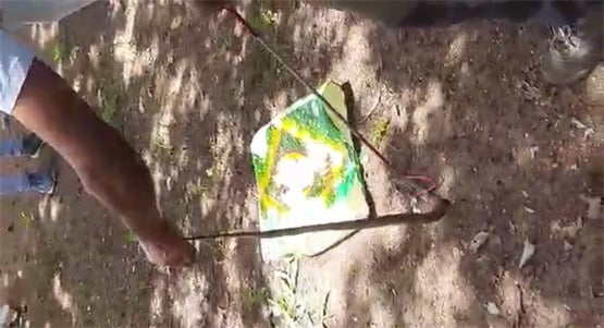 सांप ने खाया सांप, इस खूनी संघर्ष को देखकर लोग गए कांप