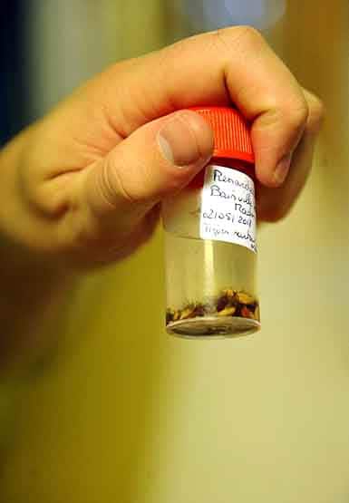 चीन में फैल रहा नया वायरस, 60 लोग बीमार, 7 लोगों की मौत