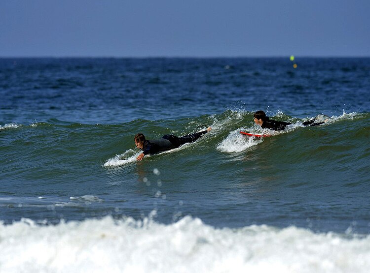 Surfer Punched Shark