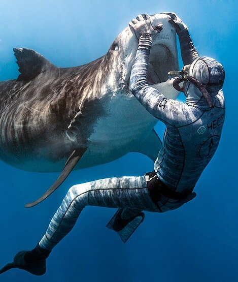 पत्नी को बचाने के लिए शार्क से भिड़ गया पति, घूंसे मारकर पैर छुड़ाए