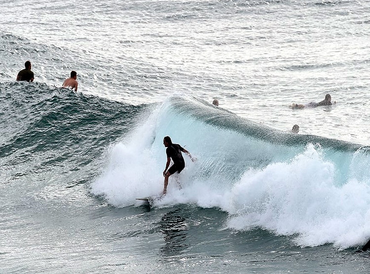 Surfer Punches Shark
