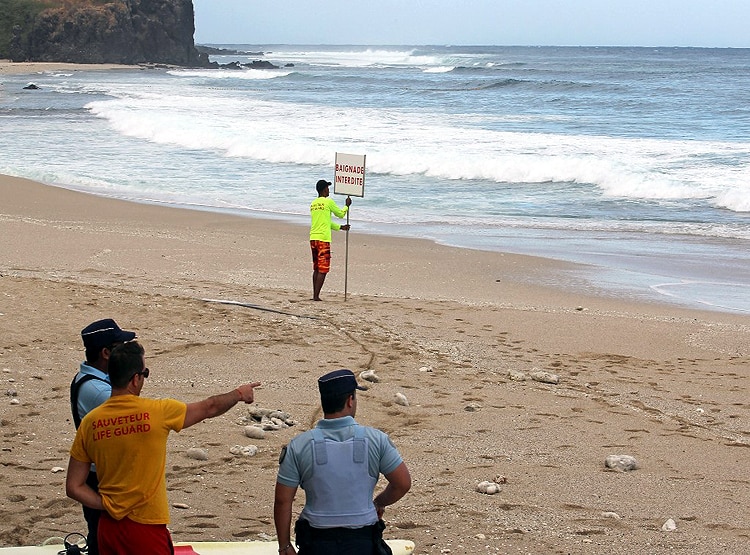 Surfer Punches Shark