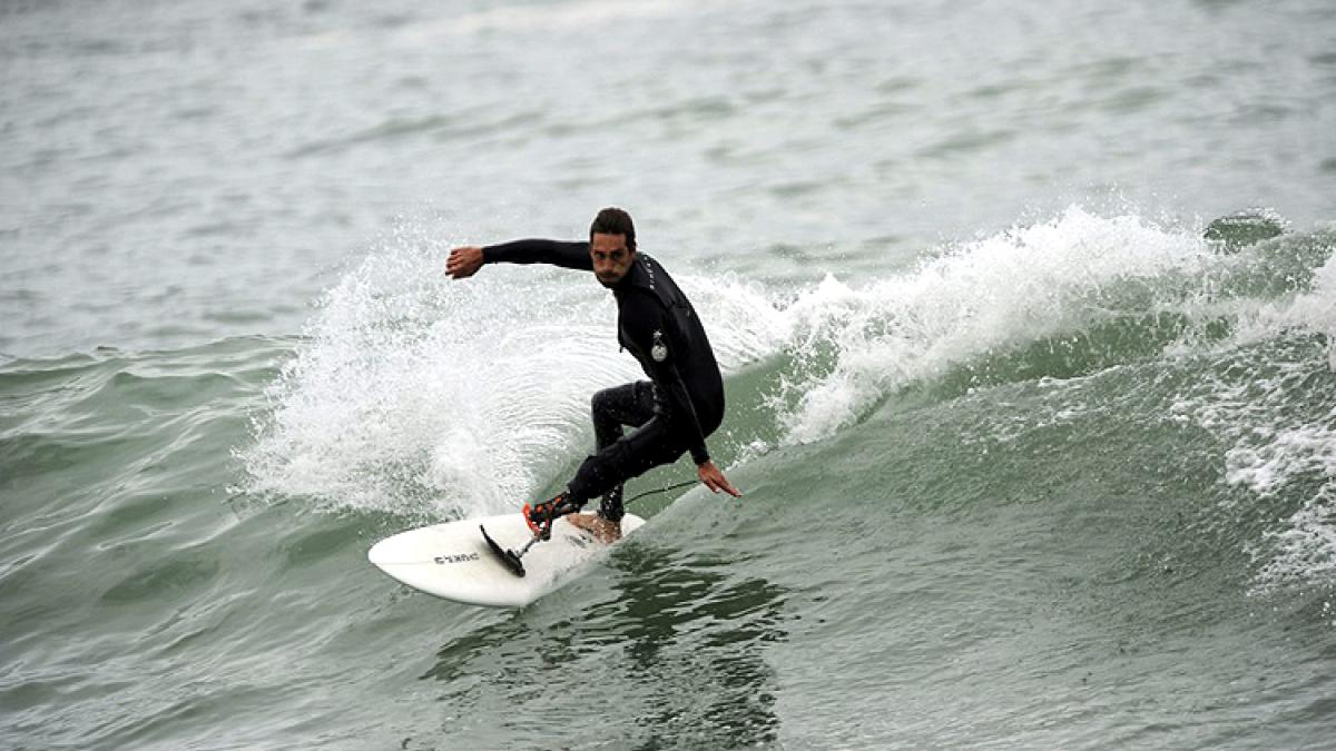 Surfer Punches Shark