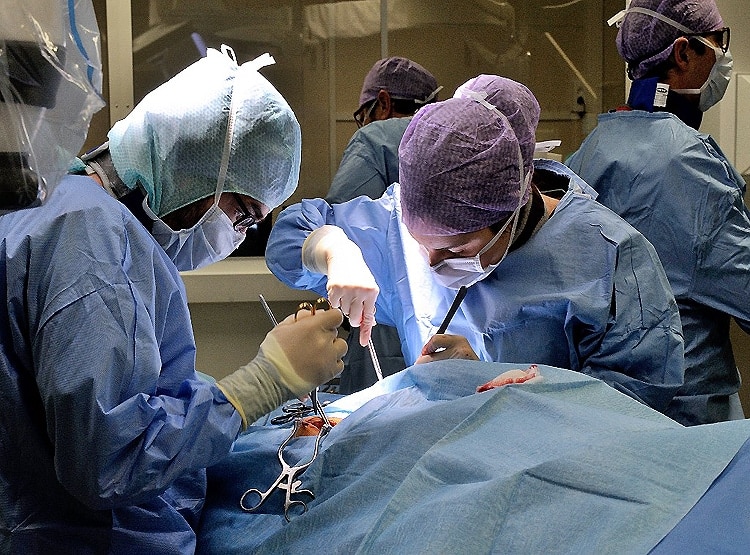 सालों से हाथ पर निजी अंग उगा रहा था शख्स, कोरोना ने रोकी सर्जरी पर मिली सफलता