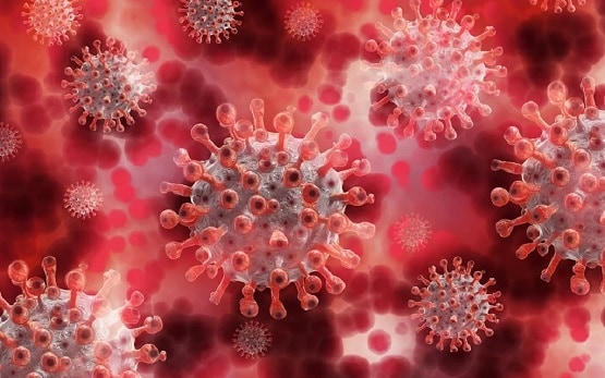 कोरोना का सबसे खतरनाक हिस्सा लैब में तैयार, बढ़ी वैक्सीन की उम्मीद