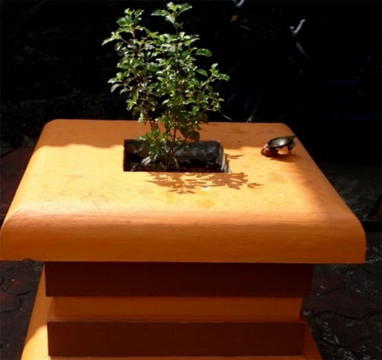 गमले में लगाएं तुलसी