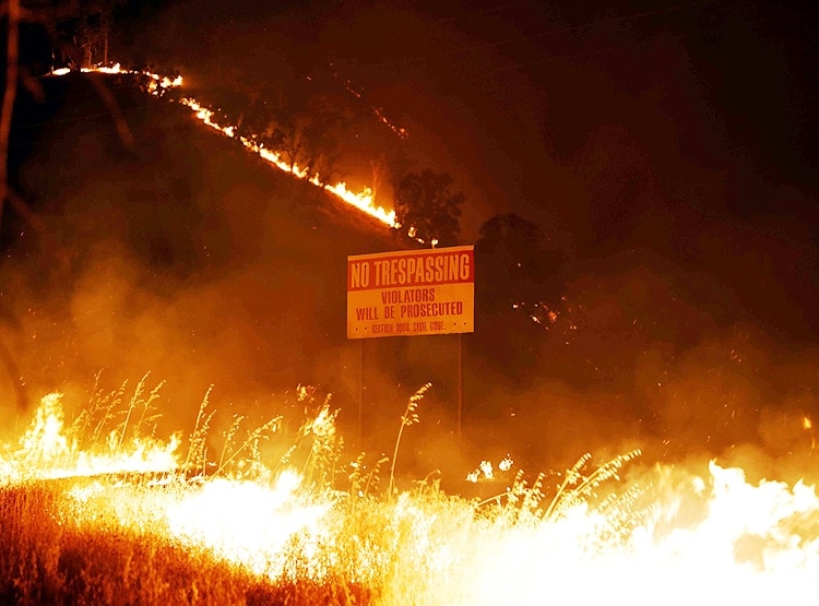 कैलिफोर्निया: 72 घंटे में 11 हजार बार गिरी बिजली, 367 जगहों पर लगी आग