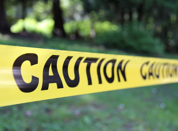 बकरे ने खोला वृद्धा की हत्या का राज, कातिल को ऐसे पहुंचाया सलाखों के पीछे