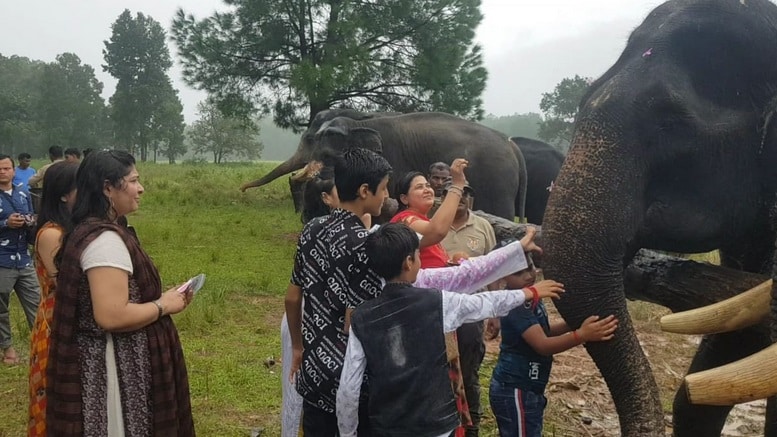 हाथियों की अनूठी पिकनिक, पहले मालिश और स्नान फिर रसीले फल, देखें तस्वीरें