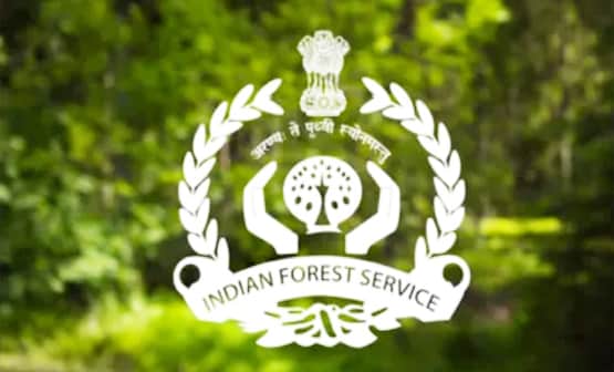 क्या होता है IAS और IFS में अंतर, कितनी अलग होती हैं परीक्षाएं