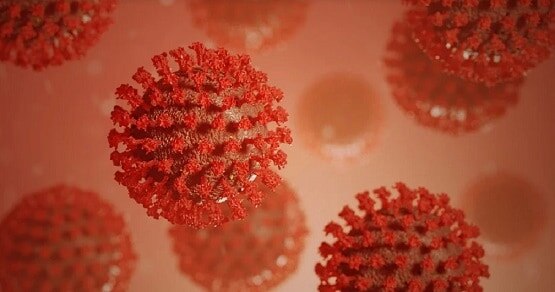 कोरोना से ठीक होने के बाद एंटीबॉडी को लेकर दूर हुआ ये कंफ्यूजन