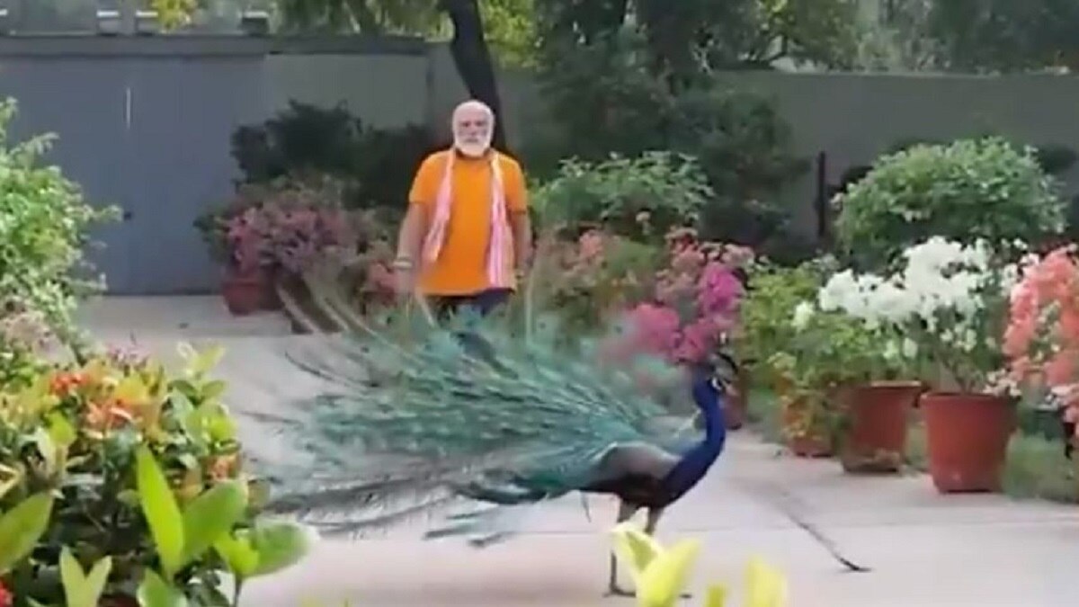 पीएम मोदी का प्रकृति प्रेम