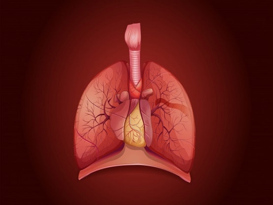 इन 6 कारणों से किसी को भी हो सकता है फेफड़ों का कैंसर, जानें लक्षण और बचाव