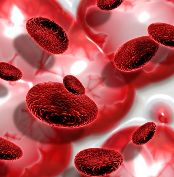 ब्रेन स्ट्रोक हो सकता है जानलेवा, ये लक्षण दिखें तो हो जाएं सावधान