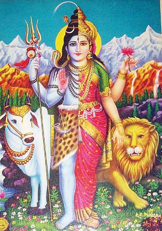 Vastu Tips: घर में बनाए रखनी है सकारात्मक ऊर्जा तो लगाएं ये चित्र