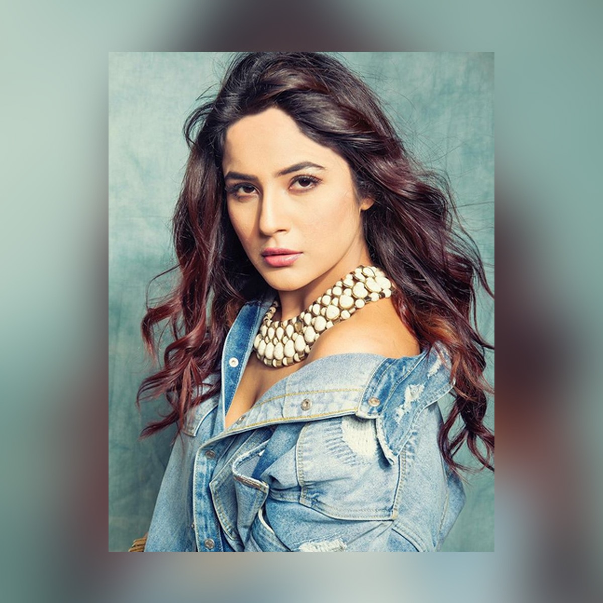 शहनाज गिल