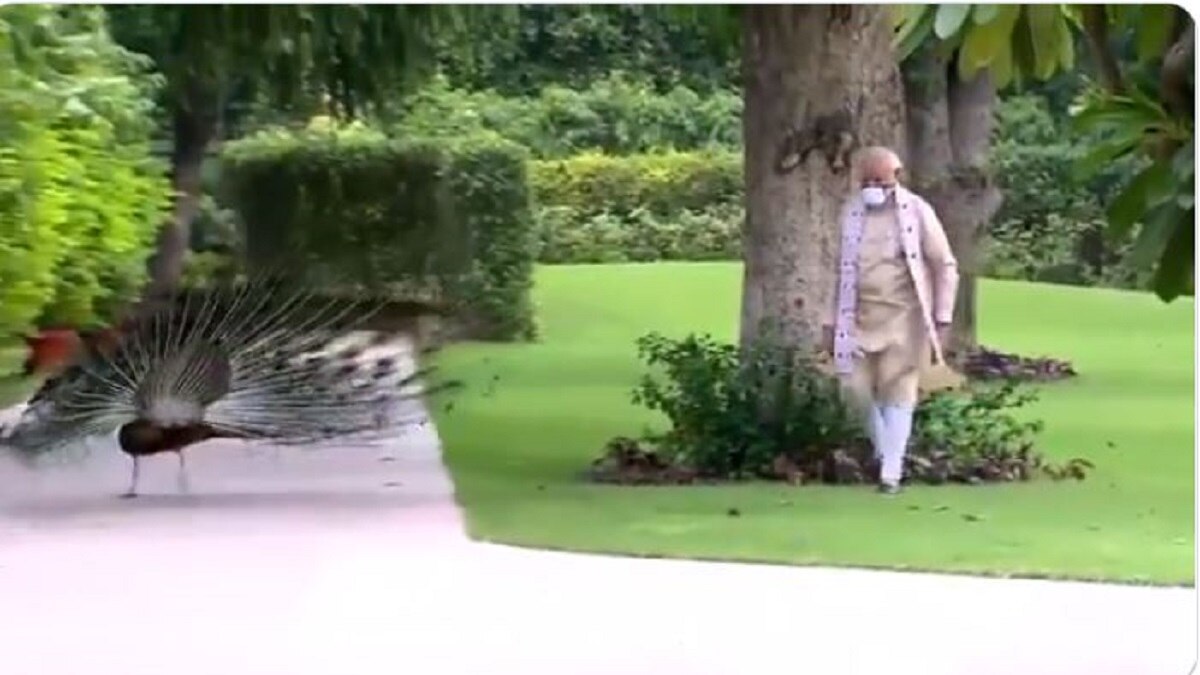 पीएम मोदी का प्रकृति प्रेम