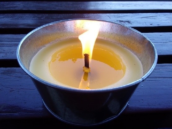 जन्माष्टमी पर जरूर घर ले आएं ये 7 चीजें, कभी नहीं होगी धन की कमी