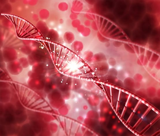 ब्रेन स्ट्रोक हो सकता है जानलेवा, ये लक्षण दिखें तो हो जाएं सावधान