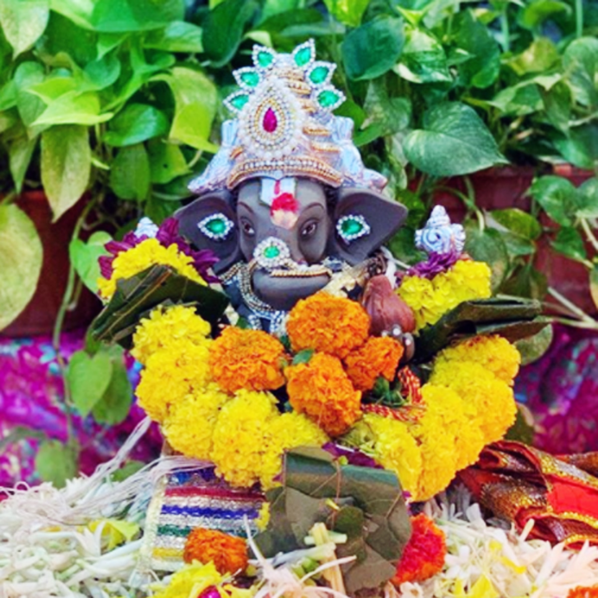 गणपति बप्पा