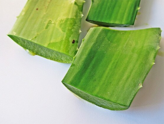 डायबिटीज करे कंट्रोल, एलोवेरा के हैं ये 5 बड़े फायदे