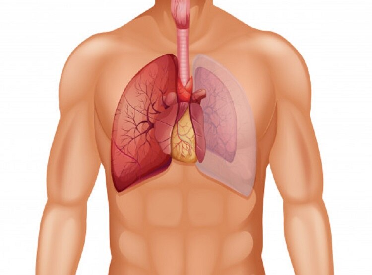 फेफड़ों के लिए जानलेवा