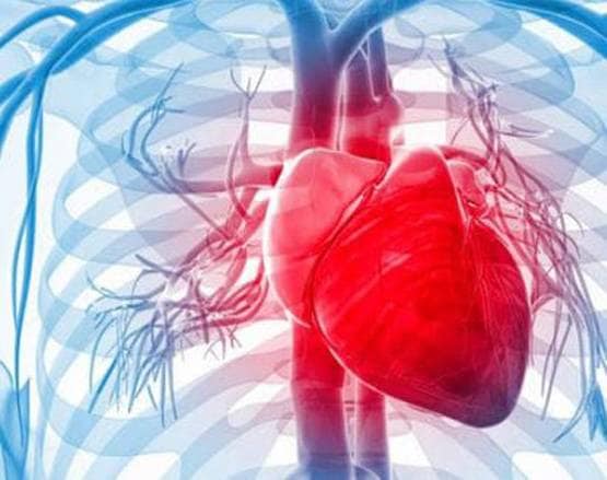 36 साल पहले बच्ची को लगाया गया था लंगूर का दिल, और फिर...