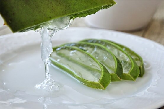डायबिटीज करे कंट्रोल, एलोवेरा के हैं ये 5 बड़े फायदे