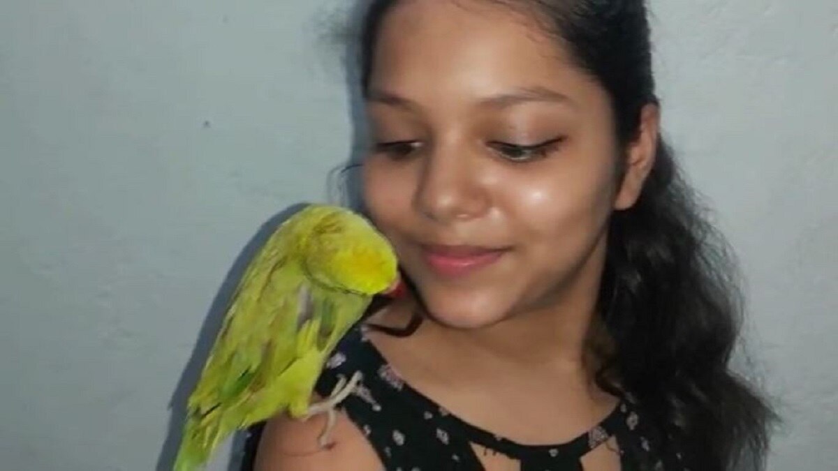 खुद YouTube चलाता है तोता