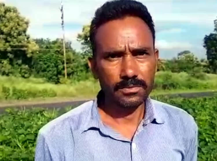 किसान ने हाइवे के डिवाइडर पर ही उगा ली फसल, हैरान हो रहे लोग