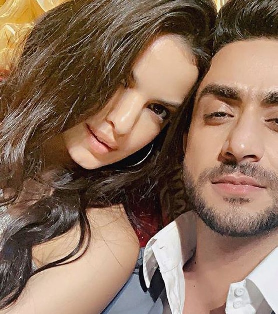 नताशा के मां बनने पर Ex बॉयफ्रेंड अली गोनी ने दी बधाई, लिखा- अरे मम्मी बन गई