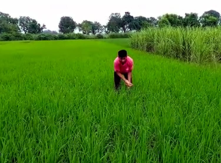 900 कॉल रिकॉर्डिंग लेकर थाने पहुंचा पति, पत्नी रच रही थी मर्डर की साजिश