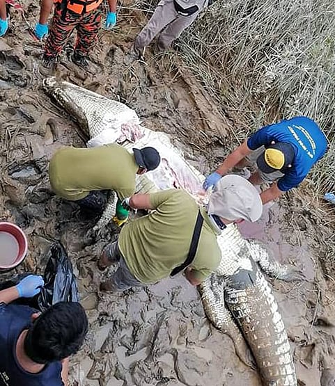 दर्दनाकः 14 साल का लापता बच्चा मगरमच्छ के पेट में मिला