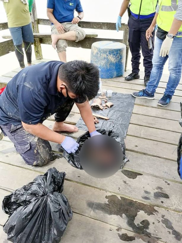 दर्दनाकः 14 साल का लापता बच्चा मगरमच्छ के पेट में मिला