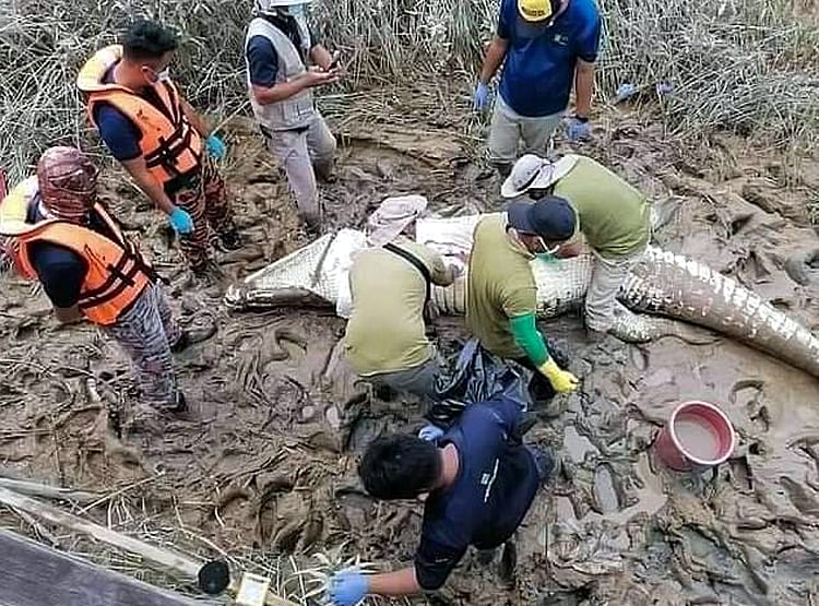 दर्दनाकः 14 साल का लापता बच्चा मगरमच्छ के पेट में मिला