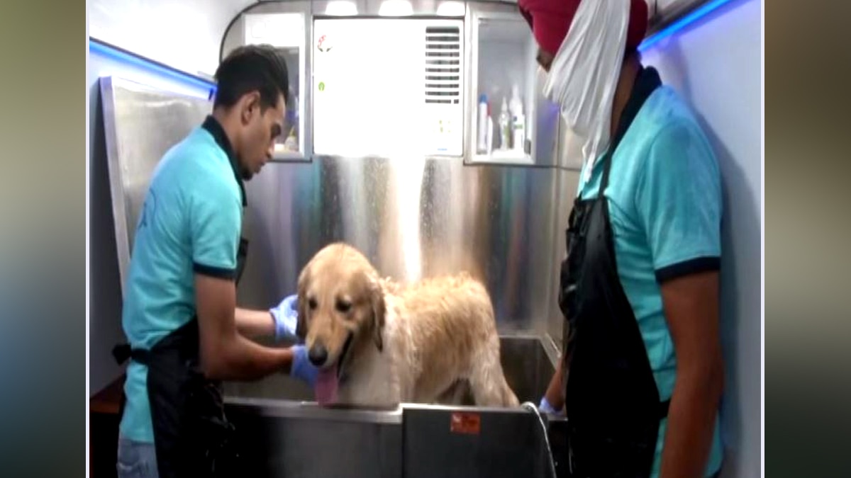 चलता-फिरता डॉग सलून.