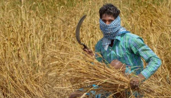 लाभार्थियों की होगी जांच