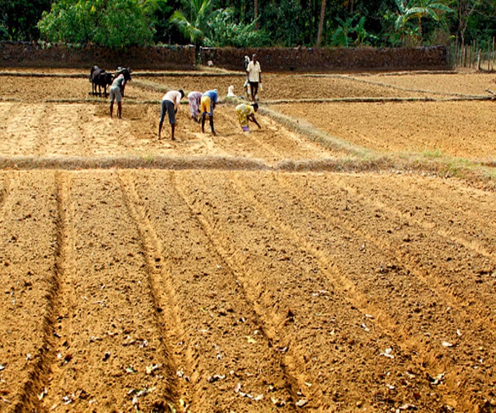 पिता-दादा के नाम पर है खेत, ऐसे किसानों को नहीं मिलेगी 2000 की किस्त